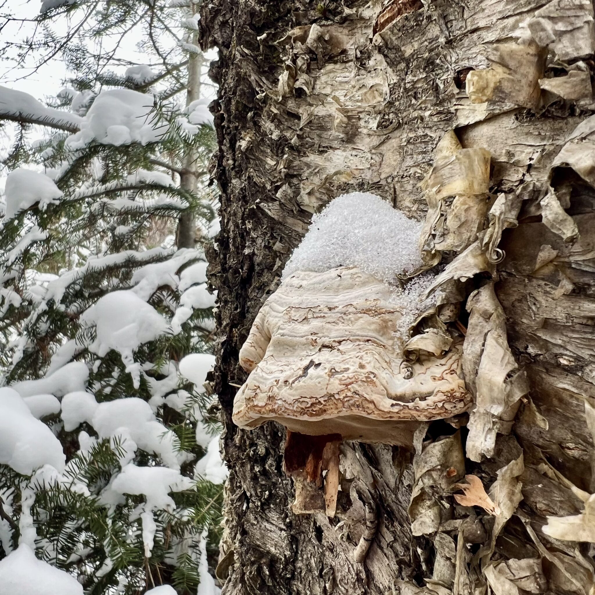 slow winter season